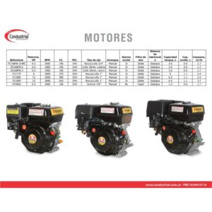 motor-a-gasolina-warrior-zs168fb-3-4